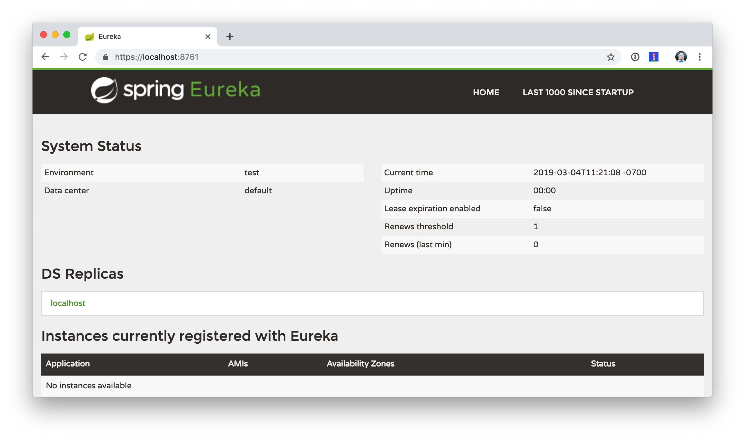Secure Eureka Server