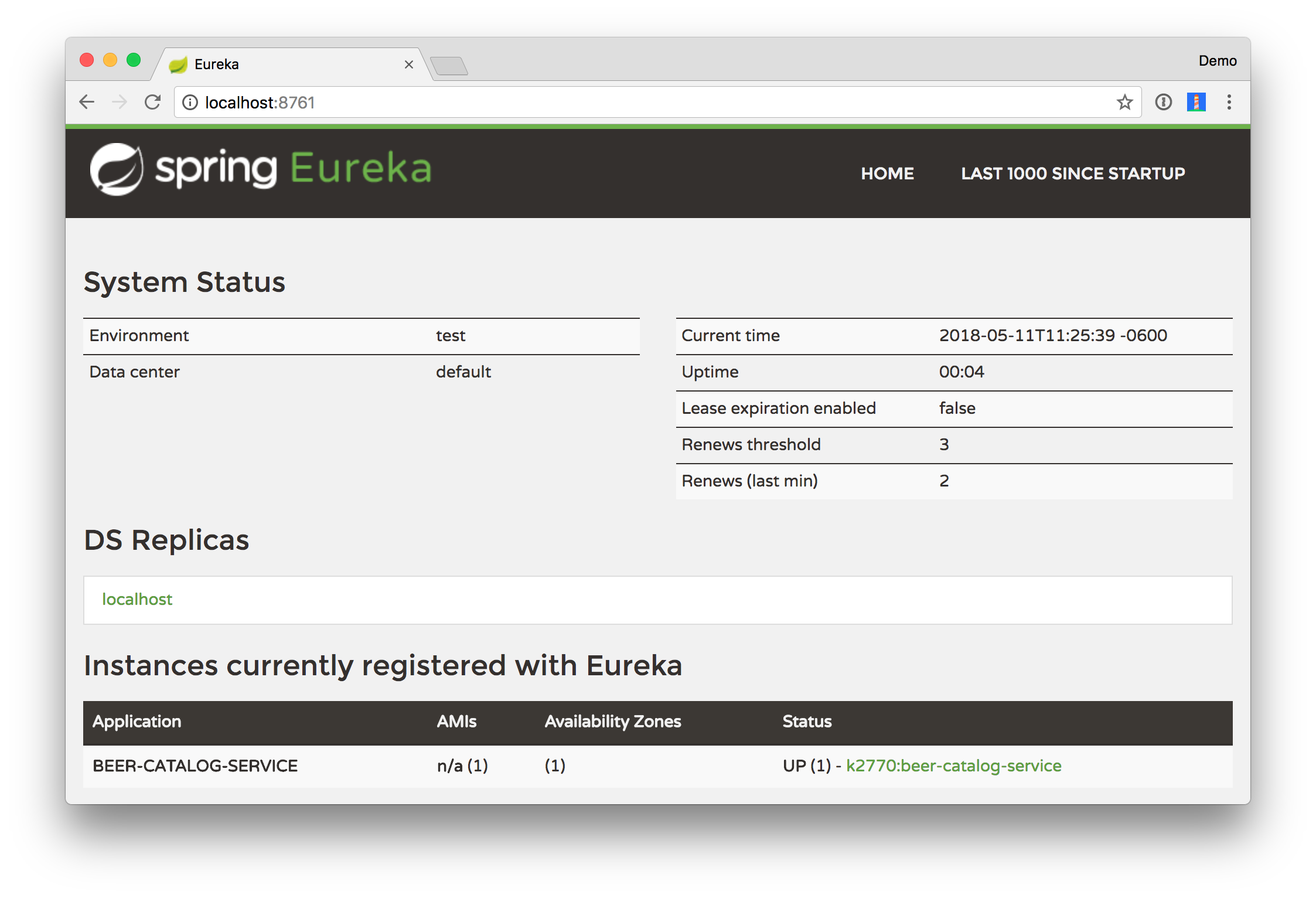 Eureka instances registered