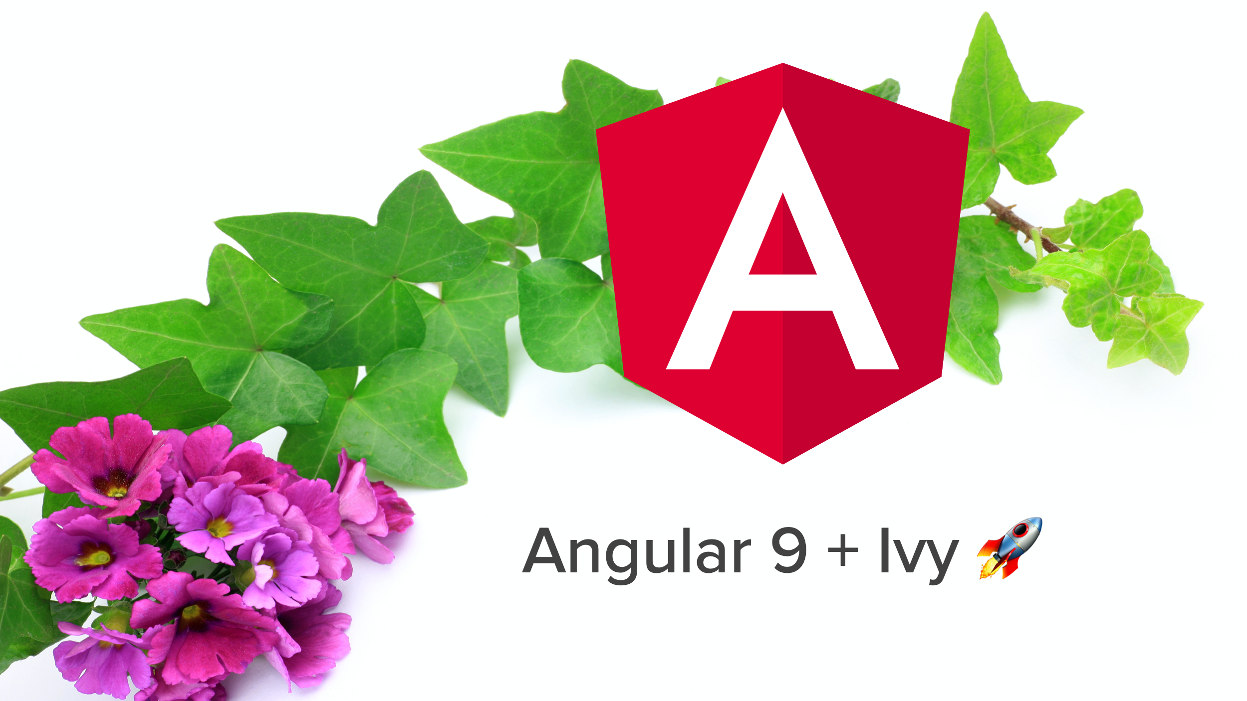Angular 9 + Ivy FTW!