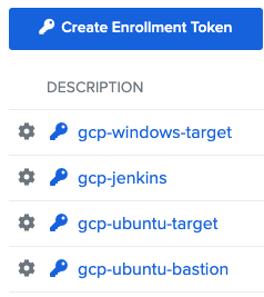 create enrollment token
