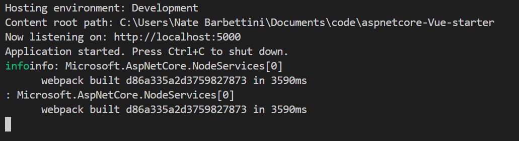 Execute dotnet run in terminal