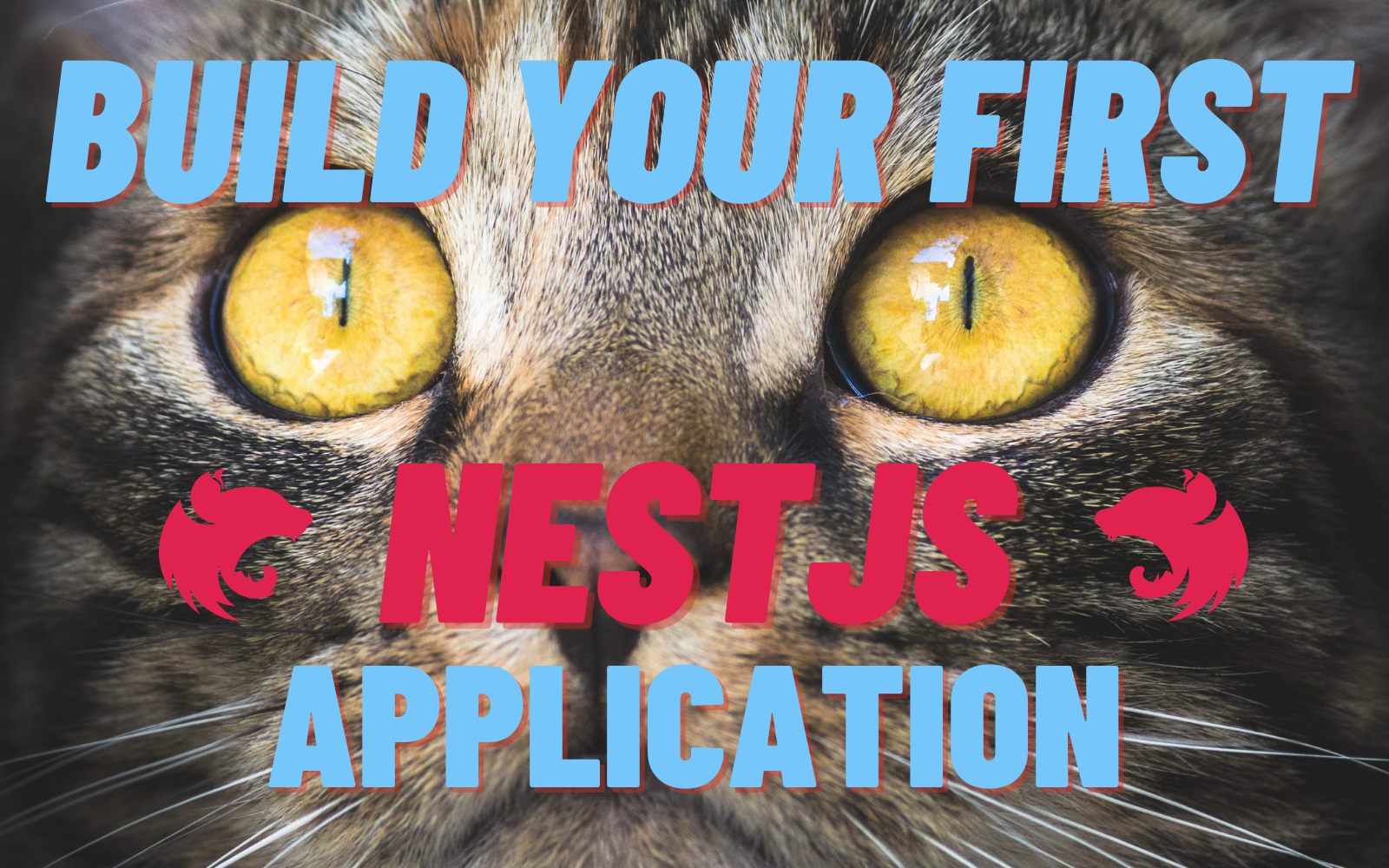 Build Your First NestJS Application