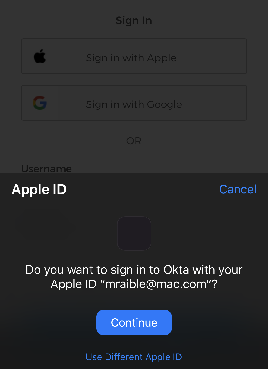 Sign in with Apple on iPhone 11