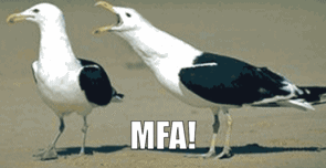 frustrating multi-factor authentication seagulls