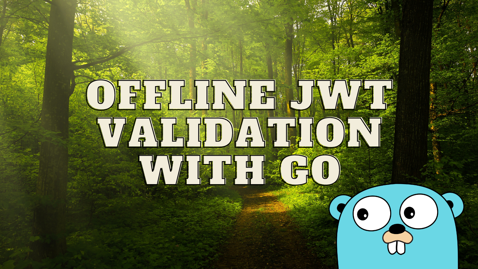 Offline JWT Validation with Go
