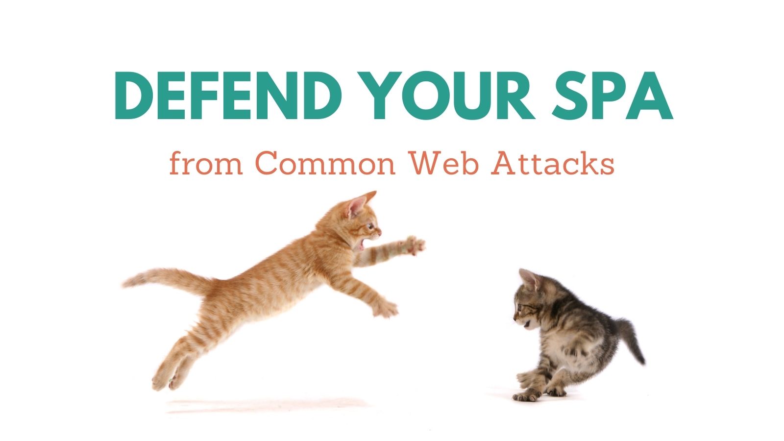 Defend Your SPA from Common Web Attacks