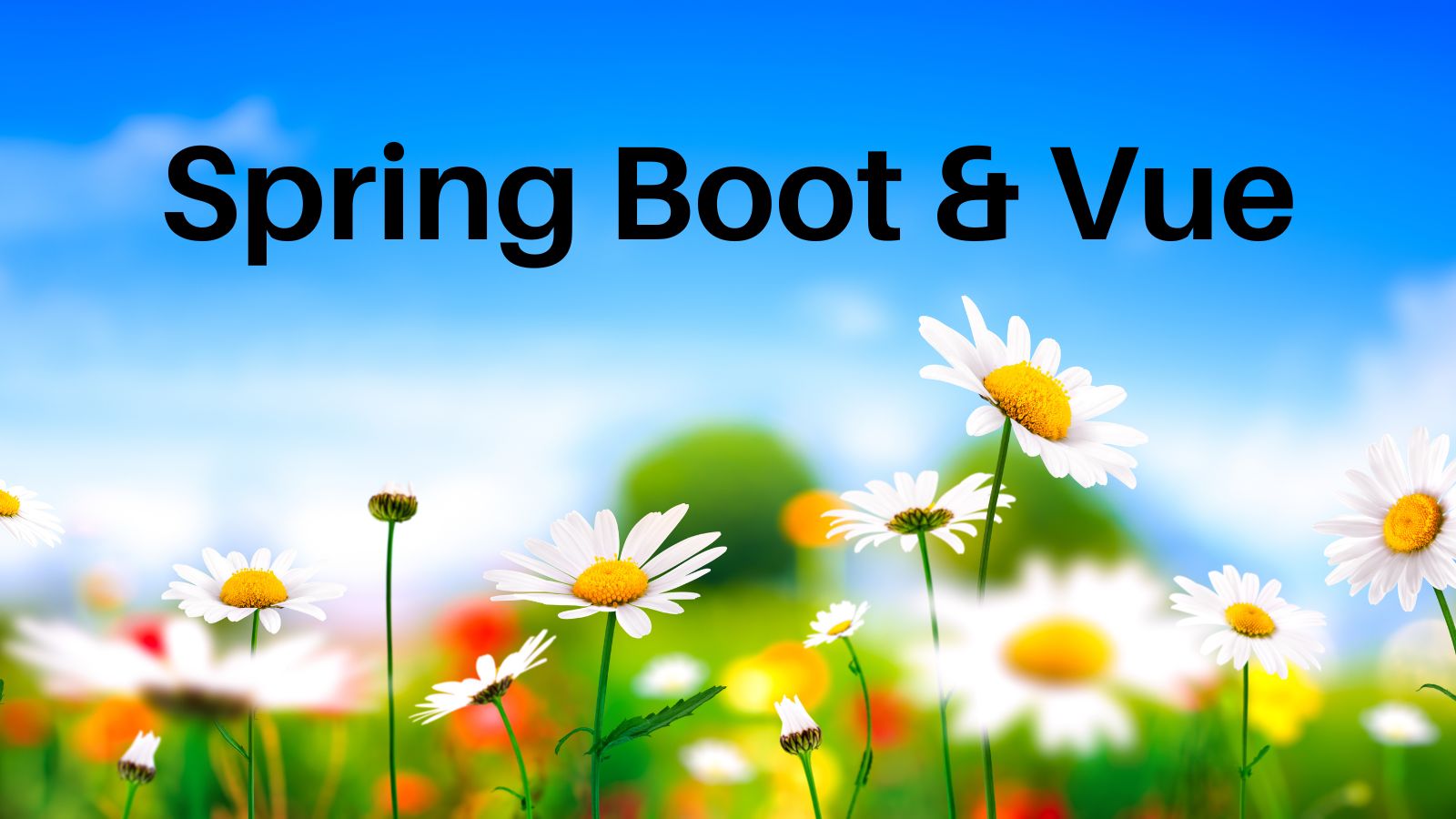 Vue springboot deals