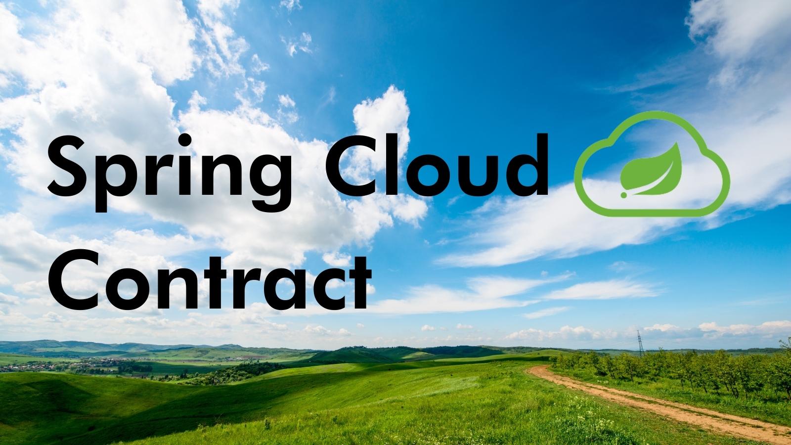 Spring cloud deals contract tutorial