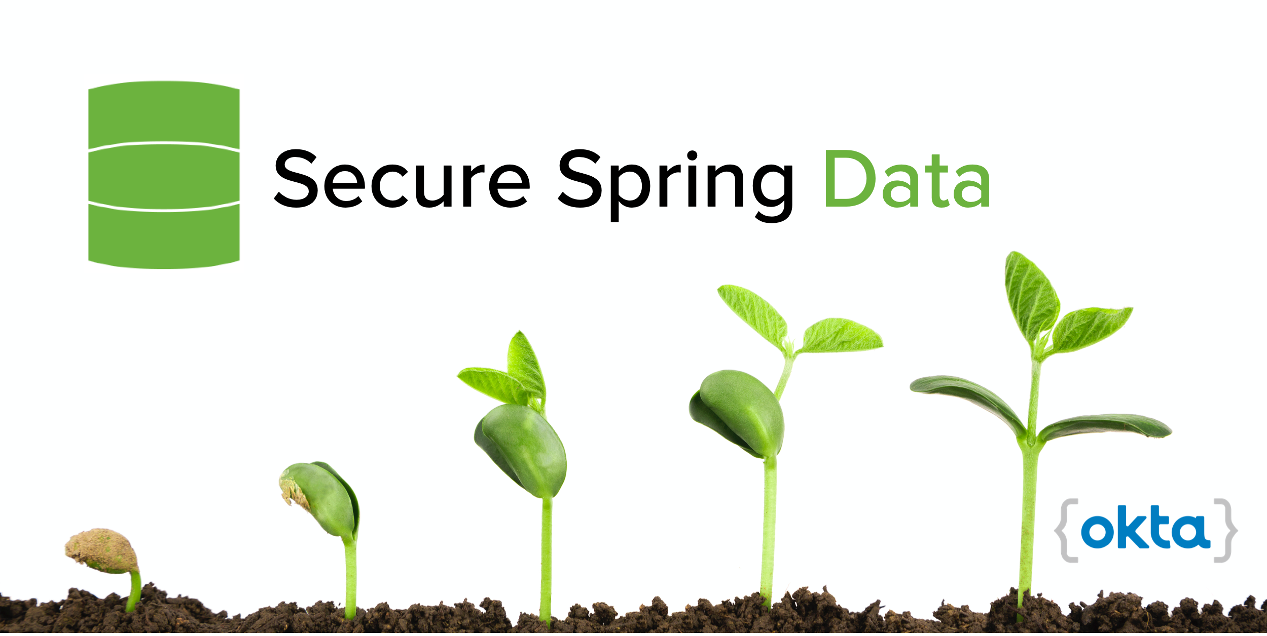Build a Secure Spring Data JPA Resource Server