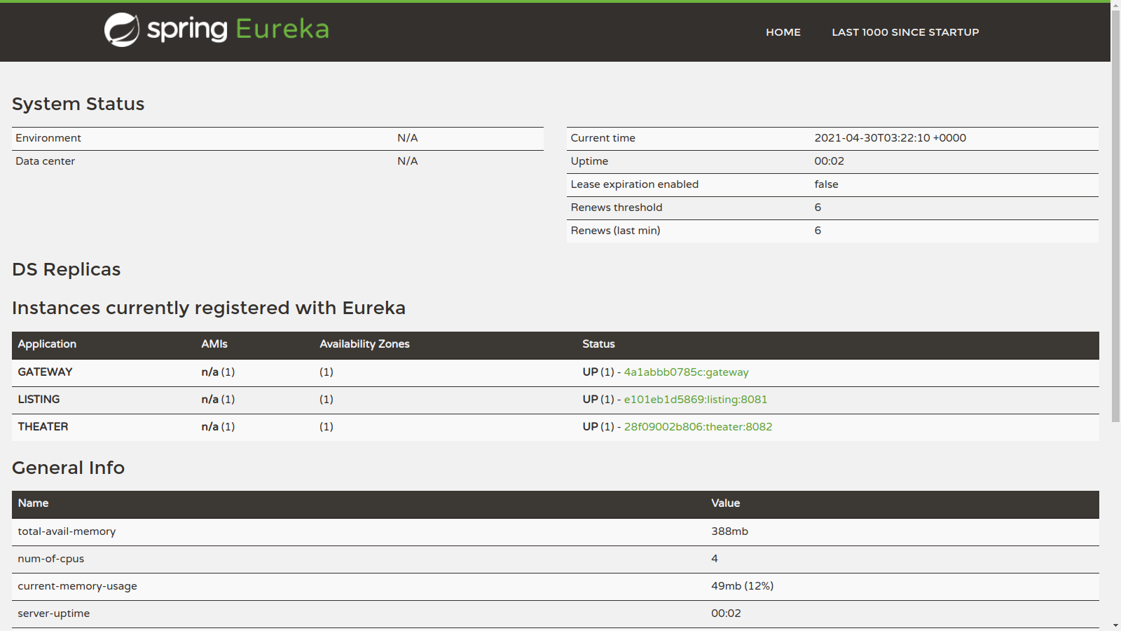 Eureka Instances Registered