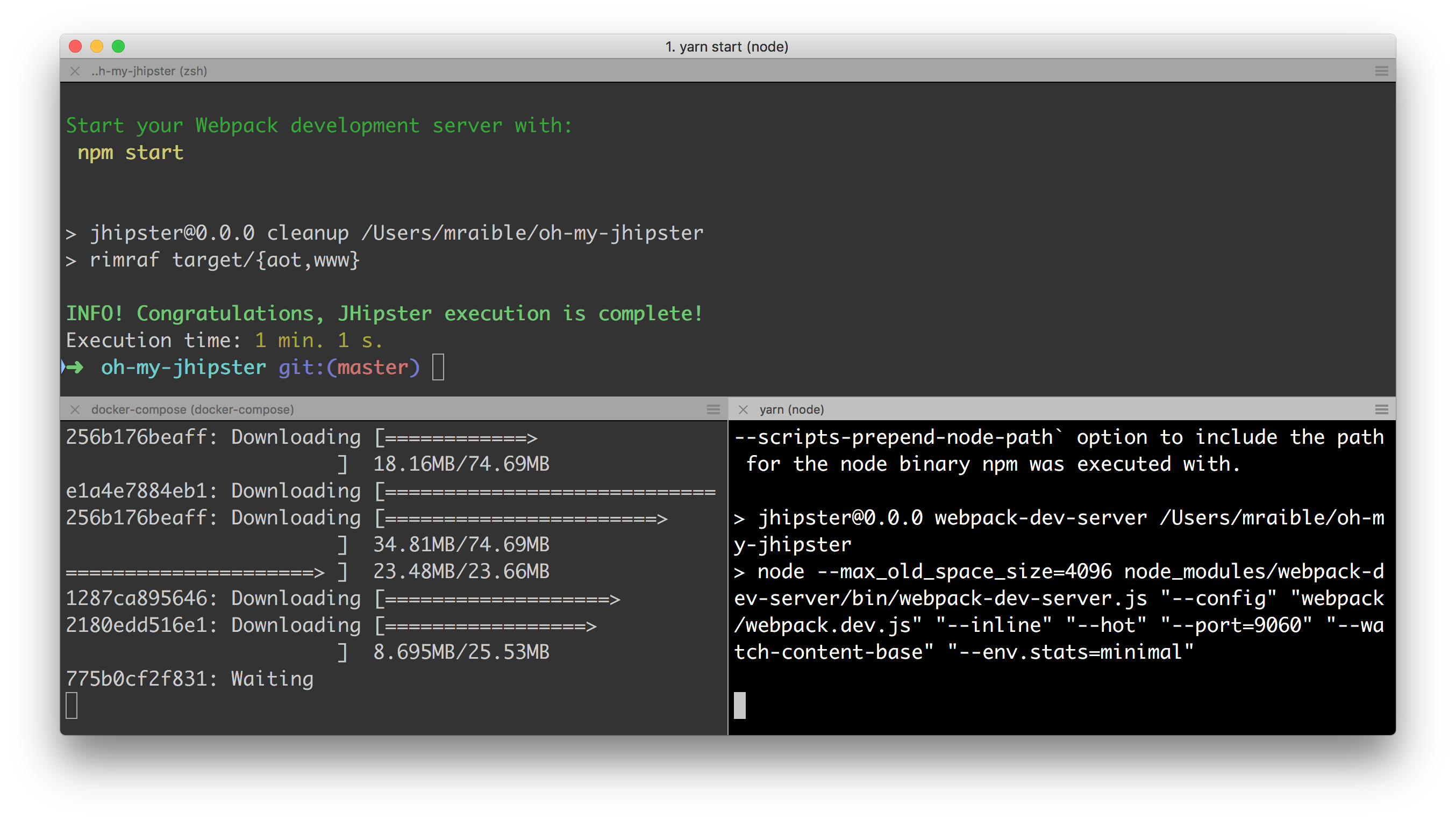 iTerm 2 with Oh My Zsh