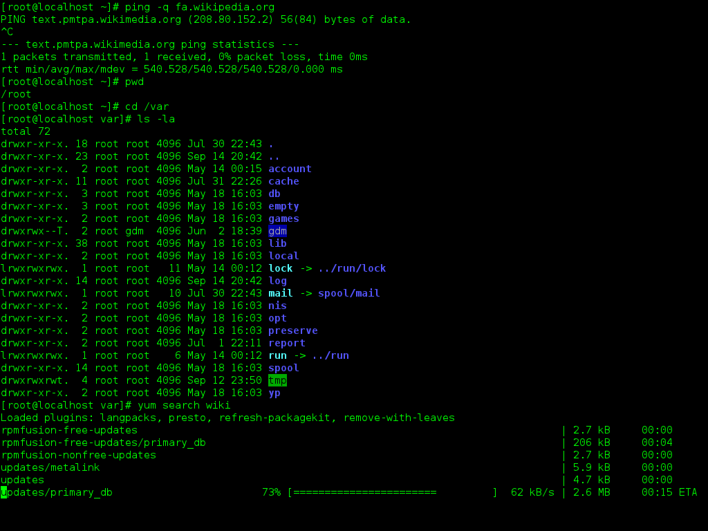 Screenshot of a Linux command line interface