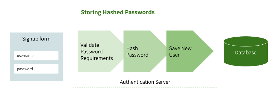 Storing hashed passwords during user signup